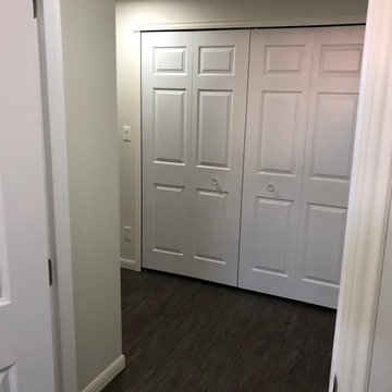 Basement development