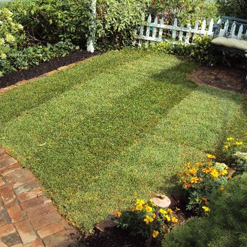 Our Work