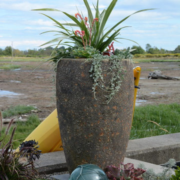 Contemporary Seaside Garden