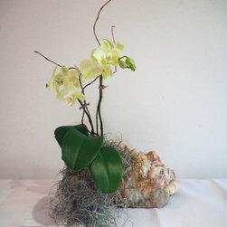 RAW - Plants