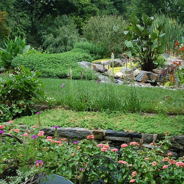 Pollinator Garden