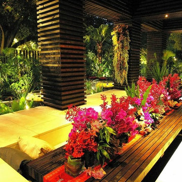 Tropical Garden