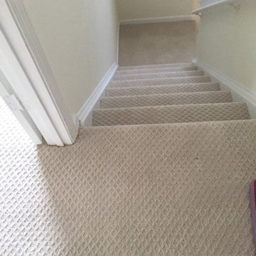 Our Work