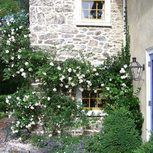 climbers