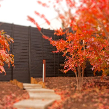 Wabi House