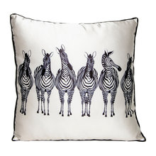 Cushions and Pillows