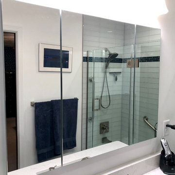 Cordova IL Master Bath Remodel Dura Supreme Hudson Gale Force Cambria Swanbridge