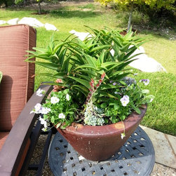 Landscaped Pots - Products