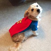 Karen Gross's photo