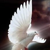 Kathleen ONeill's photo