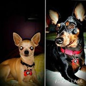 Marsha Wilson's photo