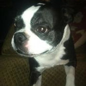 Eva Robbins's photo