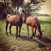 Ellen Bumbar's photo