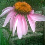 Tania Winters's photo