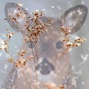 Michelle Martin's photo