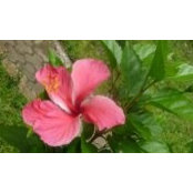 Kate Larson's photo