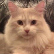 Cat Massey's photo