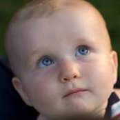 Jason Houston's photo