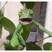 Sam Douthwaite's photo