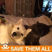 Regina Tooley's photo