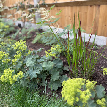 Garden transformation- Surrey