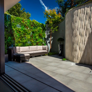 Concrete Jungle Turned into Urban Oasis