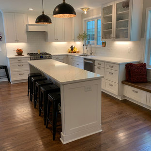 Renaissance Inc. - The House Whisperer Westerville, Ohio, United States Project Review & Ratings