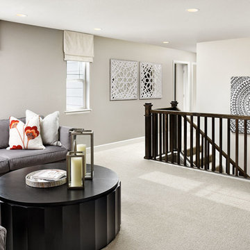 Seth model home in Colorado