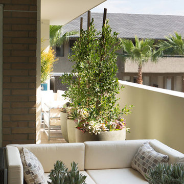 Contemporary Pasadena Condo Patio