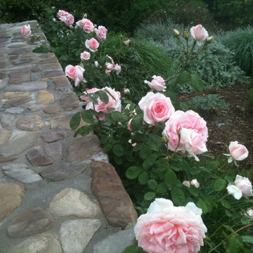 Ojai home
