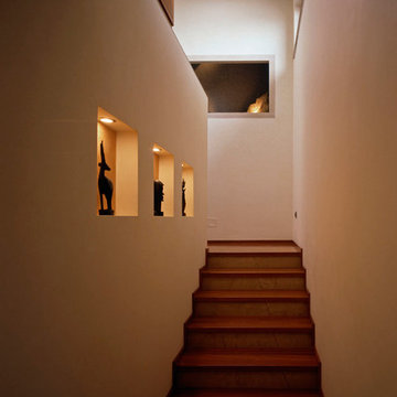 CASA S