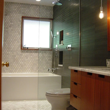 Mid-Century Modern Whole House Project