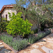 Erin’s Garden