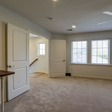Garage Conversion/game room