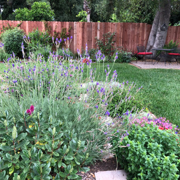 Backyard Landscape Design Before & After