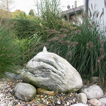 Pflanzen
