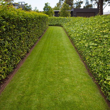 Flinders Garden