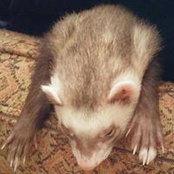 Chris Kilmer's photo