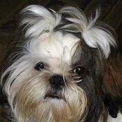 Debbie Thrasher's photo