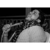 Fadel Ismails foto