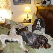 Roni Lett's photo