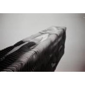 Charles Du's photo