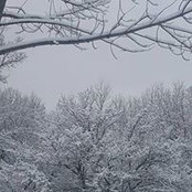 Foto von Lorissa Cheatham