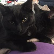 Jodie Fronheiser's photo
