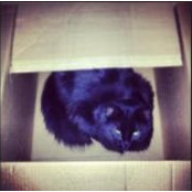 Sarah Butwick's photo