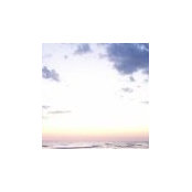 Austin Nagel's photo