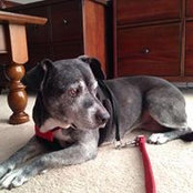 Christina Pallante's photo