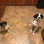 Rachel Gertonson's photo