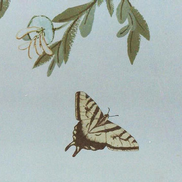 Butterfly Kitchen Murals