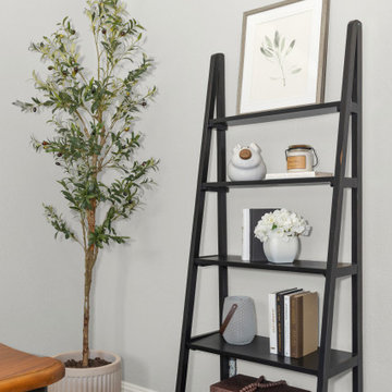 Del Monte Pine VACANT Staging Project